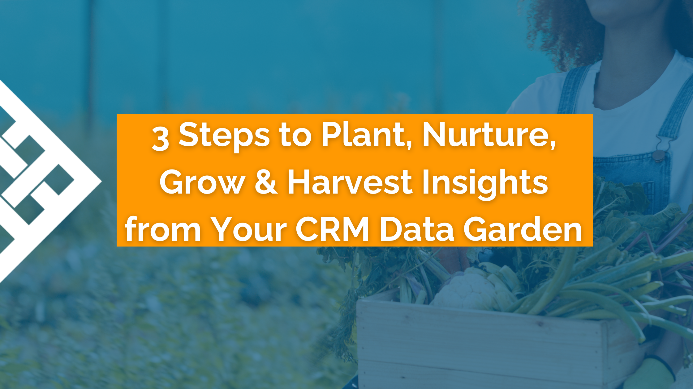 3 Steps to Plant, Grow, Nurture & Harvest Insights from your CRM Data Garden