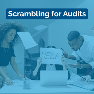 Scrambling for Audits