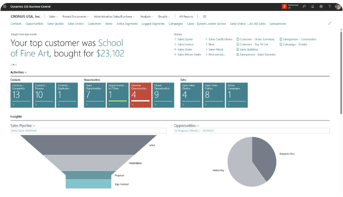 Business Central sales opportunity view