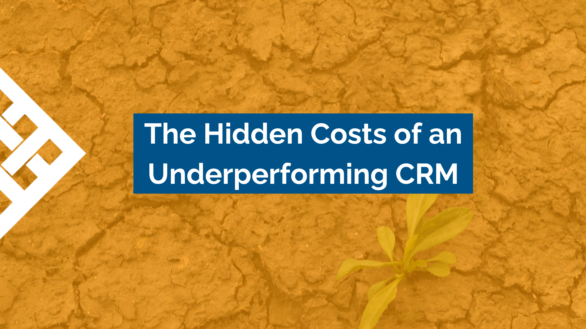 The Hidden Costs of an Underperforming CRM