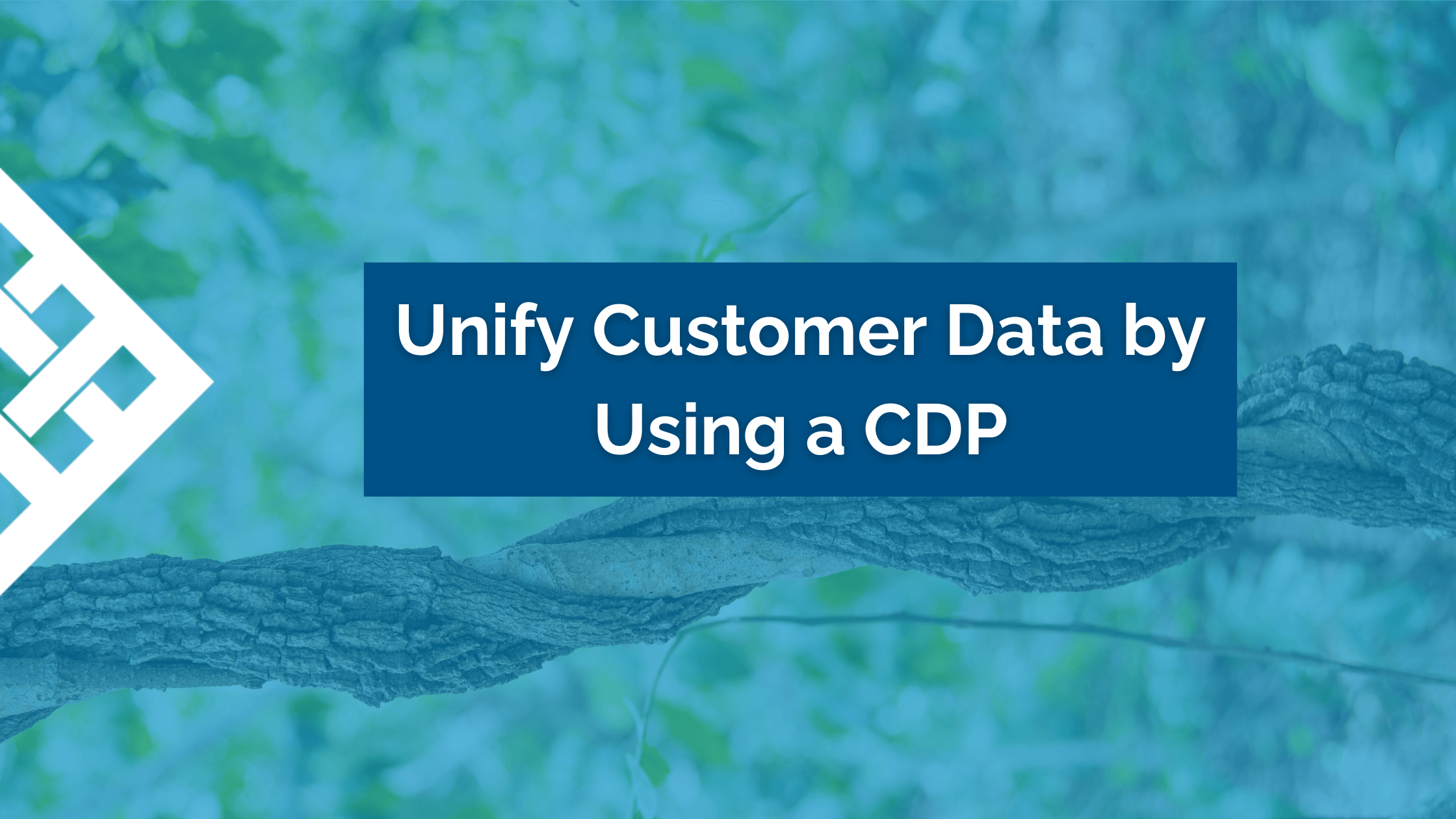 Why Your Business Needs a CDP to Get the Most Out of Customer Data