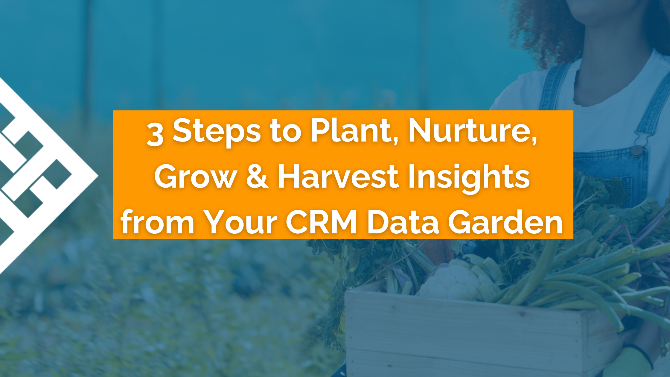 3 Steps to Plant, Grow, Nurture & Harvest Insights | CRM Data Garden