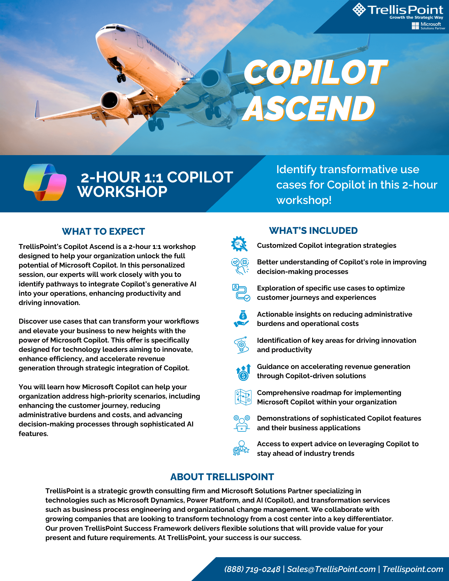 Copilot Ascend Flyer (1)