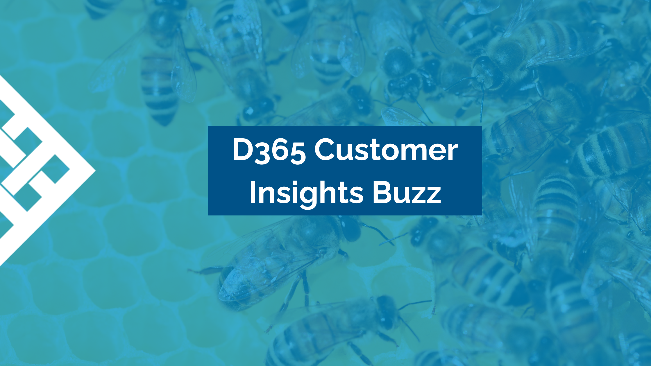 Why is Everyone Talking About Dynamics 365 Customer Insights?