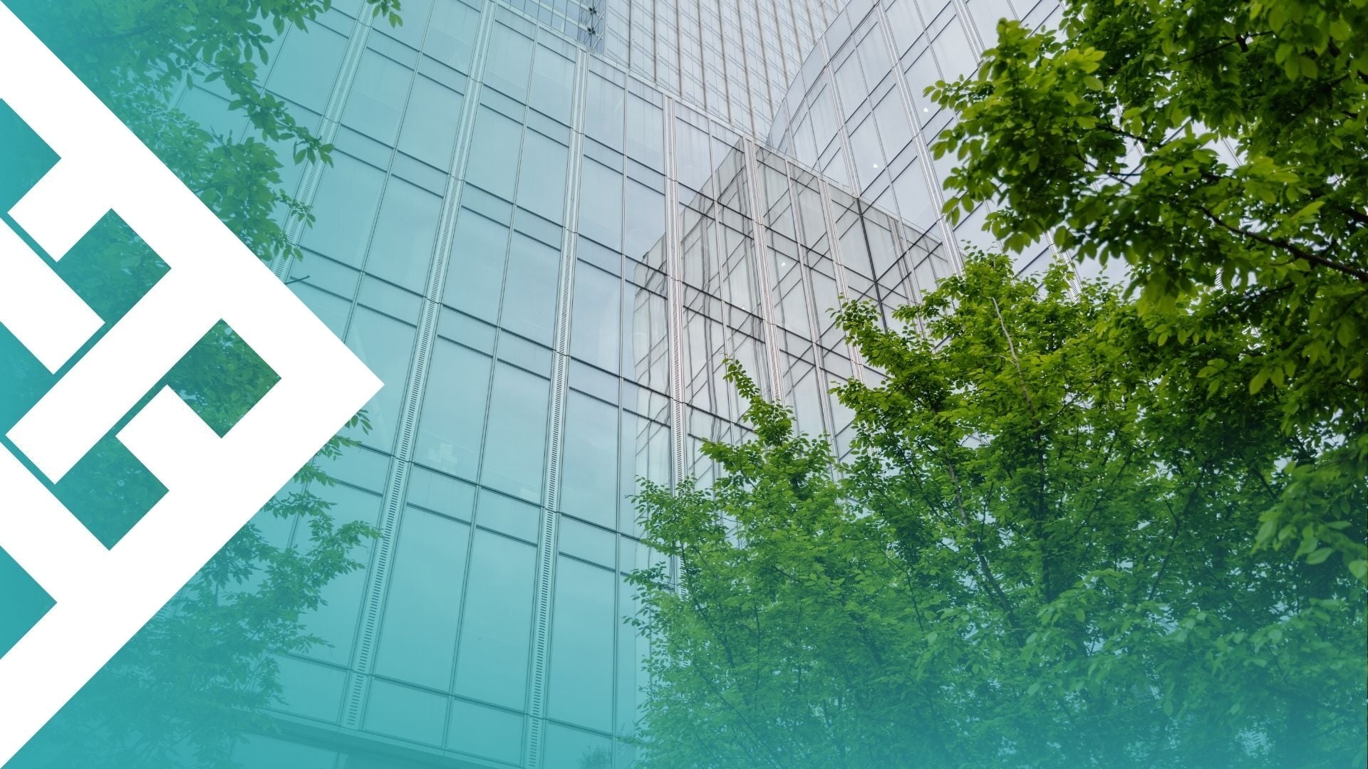 3 Steps to Plant, Grow, Nurture & Harvest Insights | CRM Data Garden