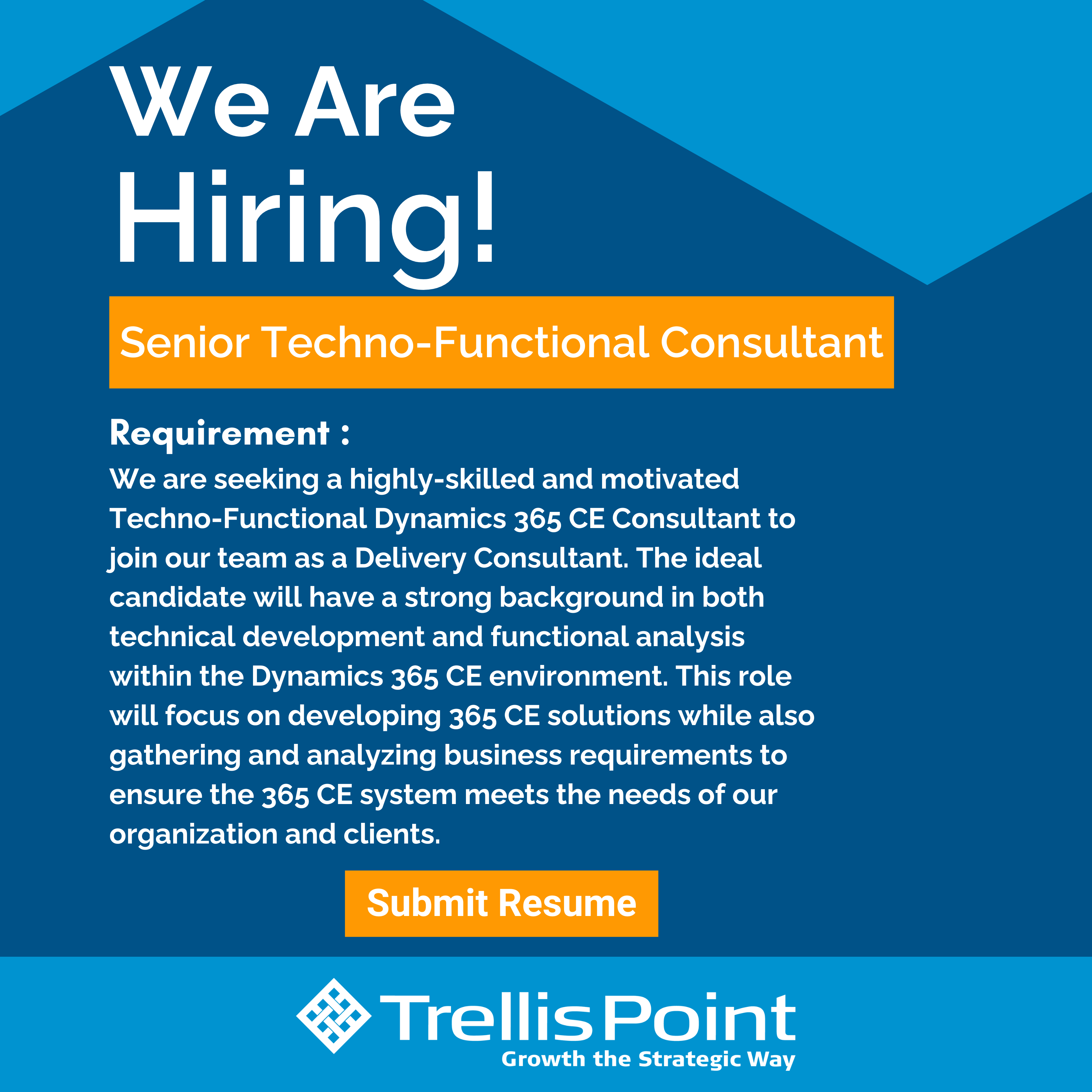 Senior Techno-Functional Consultant Job Description