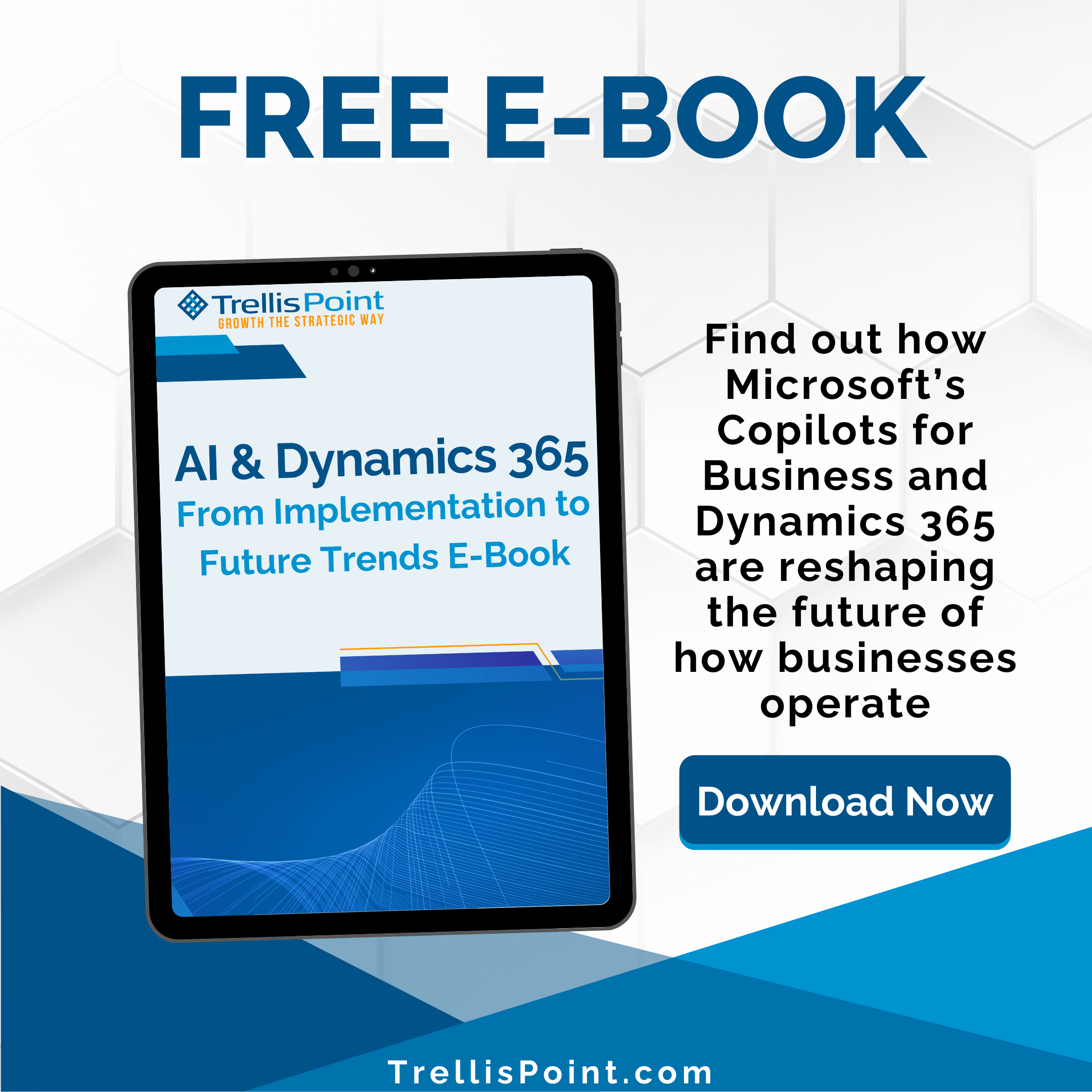 AI & Dynamics 365 From Implementation to Future Trends E-Book