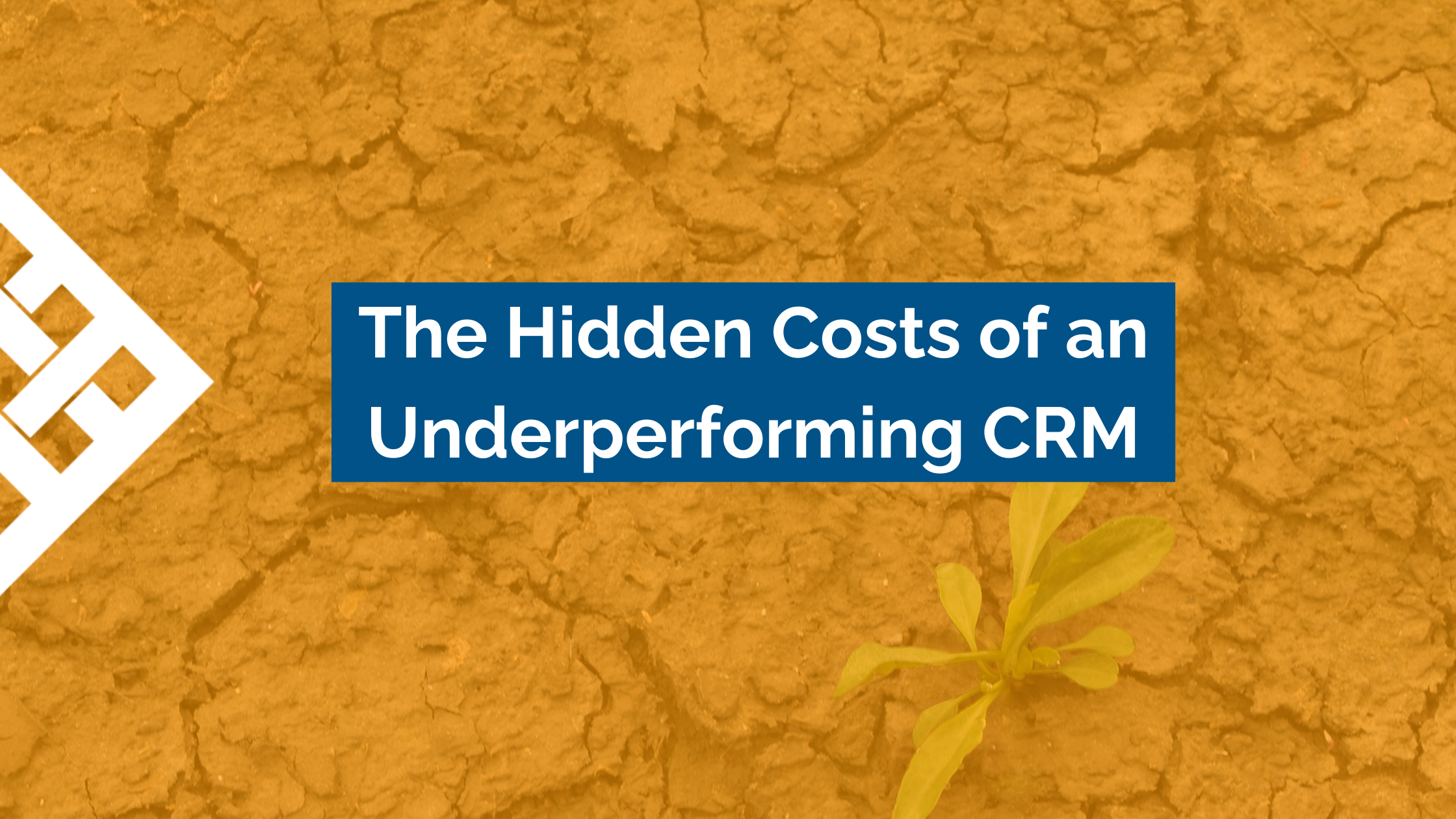 The Hidden Costs of an Underperforming CRM & Possible Solutions